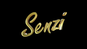 Senzi TV logo2